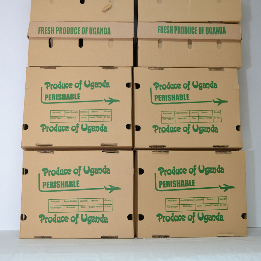 The Best Fruit & Vegetable Boxes in the Market | Prime Concepts